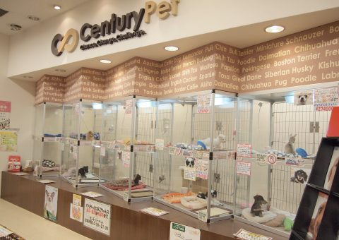 Management of pet shops